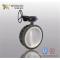 PTFE Fully Lined Double Flange Butterfly Valve (D41F-10/16)